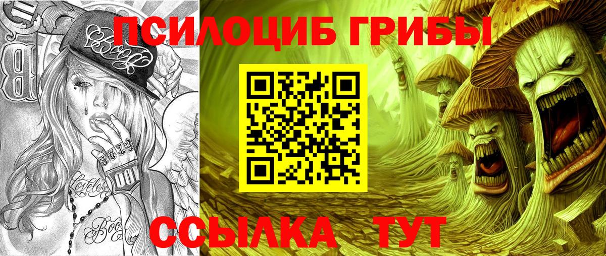Дедовск  купить наркотик  Вход с VPN  Псилоцибиновые грибы мицелий 