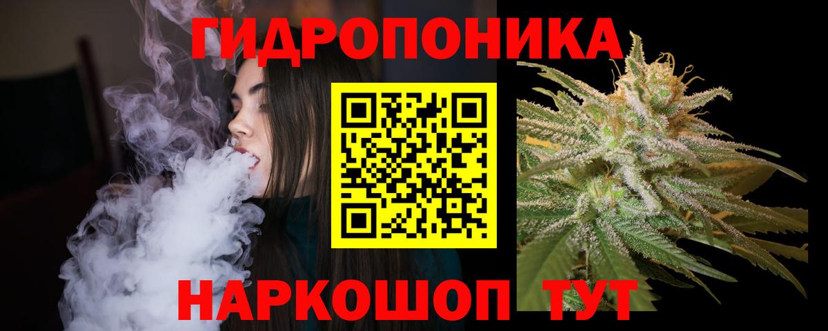 ГАШ Дедовск